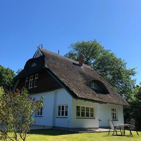 Haus Koppelweg Fw-Muschel Lägenhet Ahrenshoop Exteriör bild